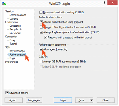 WinSCP SSH Agent aktivieren